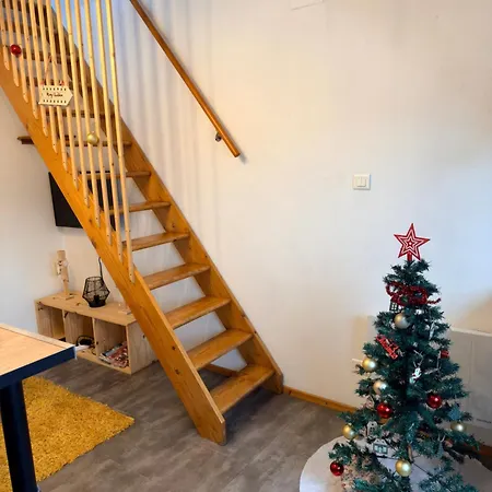 アパート Superbe A Proximite Du Centre-ville サン＝ディエ＝デ＝ヴォージュ