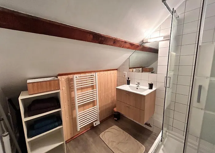 Superbe A Proximite Du Centre-ville Saint-Die-des-Vosges